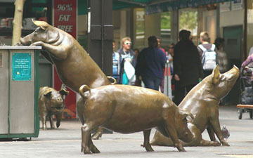 ����������ϵ�ͭ������